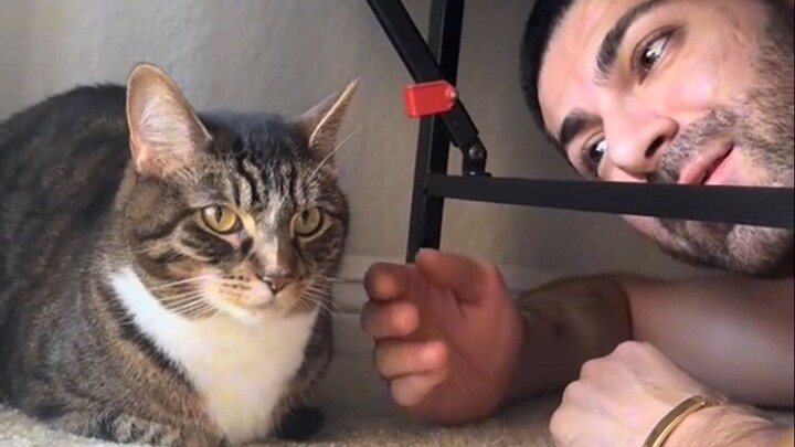 ต้นแบบซีรีส์เปรียบเทียบแมวกับหมาเปิดตัวครั้งแรก!!