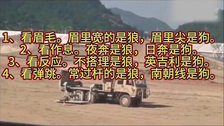 机器狼群亮相珠海航展，视频在外网传开，呼吁禁止，可惜了是你们先拒绝了