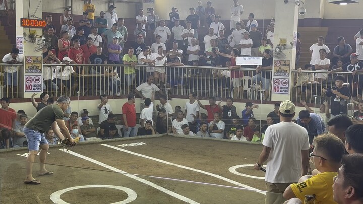 1st fight WIN 5stag derby Orani coliseum 8-29-25