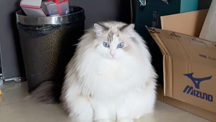 The baby is Xiaoshan, please flip it.