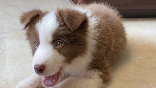 I was thinking: How could I even open my mouth?