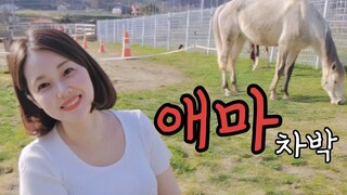 No31-(Eng) 🐴🐱동물농장 차박 / 차량 냉장고 , 트렁크 모기장 여름 차박 준비완료