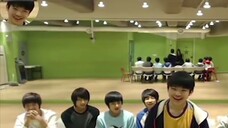 【Little Green House】17's order of joining the company + first impressions of each other