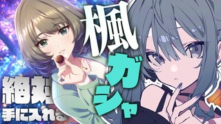 【デレステ】高垣楓のプロデューサーを務めております。【ホロライブ / 星街すいせい】