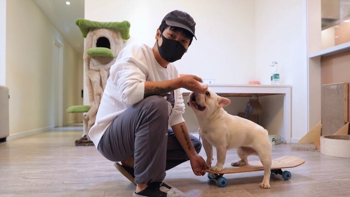 Pemiliknya melatih anjing bulldog Prancisnya bermain skateboard selama lima hari, dan akhirnya dia m