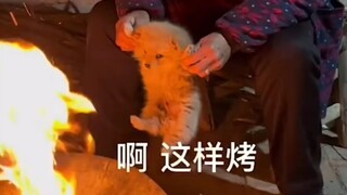 #dog #owner Puppy: It feels like I've been briefly loved!