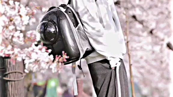 gojo sendiri ygy😐