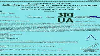 Raees (2017) - Shah Rukh Khan Hindi Action\Crime Full Movie