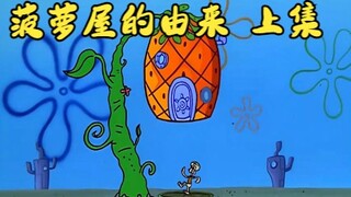 “菠萝屋的由来 上集”
