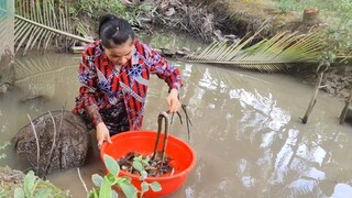 Mẹ Ơi Nó Nữa Rồi Con Này To Hơn Đợt Trước | TKQ & Family T830