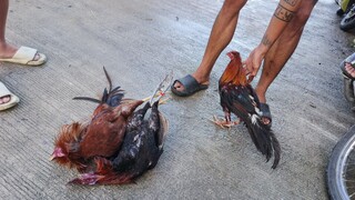 naunahan pero bumawi sa dulo..nice fight bansot