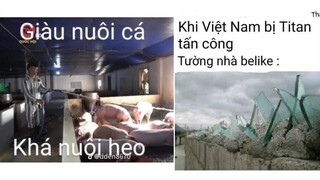 Ảnh chế p244 || giàu nuôi cá khá nuôi heo || ĐLT ảnh chế
