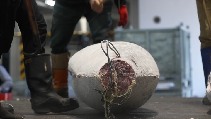 [Fasilitas Makanan: Pembongkaran Ikan Tuna Raksasa Beku]