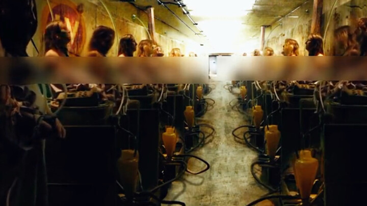 This group of women was actually treated like cash cows—so awesome!