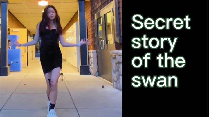 15-year-old recreates the "Secret Story of the Swan" | Filmed on 2021/11/16—she was 14 at the time!