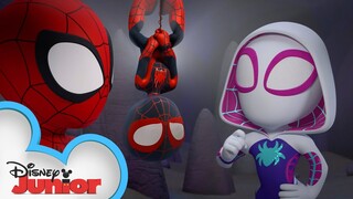 Spidey Treasure Hunt | Marvel's Spidey and His Amazing Friends | @Disney Junior