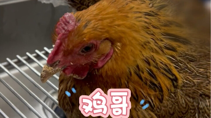 这（歹徒）也太凶残了，入室后无差别攻击，至两死两重伤，我与王医生还讨论制作.......治疗细节