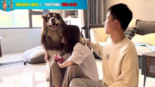 Xem chàng trai Alaske bảo vệ cô chủ để tìm một bạn trai tốt nhất nhất cho cô chủ của mình 😂😂.