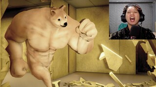 ไอ่ชิบะเวณน่ากลัวเกินปุยมุ้ย | Buff Doge