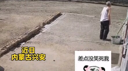 “Don’t you dare run!” — That line had me cracking up as the little girl ran away from the adorable p