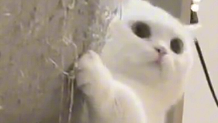 These cringey “hustle” quotes from celebrities are straight-up hilarious!