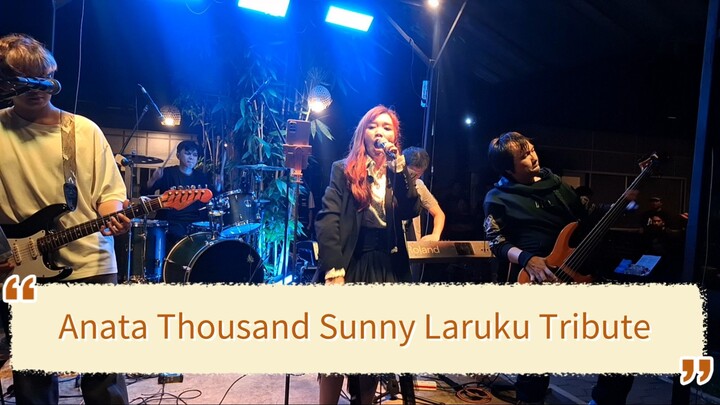 Anata Thousand Sunny Laruku Tribute