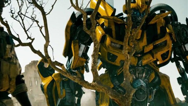 Sam dibunuh oleh Megatron, ekspresi bumblebee begitu menyedihkan