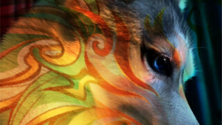 当哈士奇变成山海经神兽