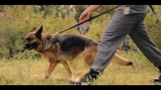 Cám dỗ chết chóc EP 9 [Sub Việt]