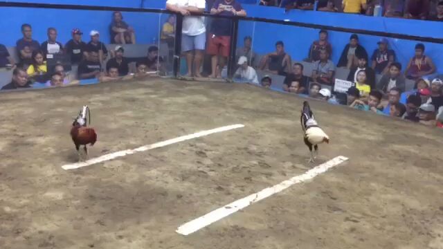 Silang Cockpit Arena January 9 Using Sweater Grey 1st fight Loss