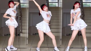 【鱼干】抓住夏天的尾巴 来一首超甜的海芋恋！！
