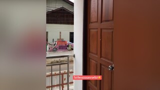 ไปเรียนสายแน่ๆ เลย😂 ไม่มาม่าน๊า คนไทยเป็นคนตลก นนนี่สายฮา
