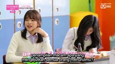 Iz*one chu season 2 episode 1 indo sub
