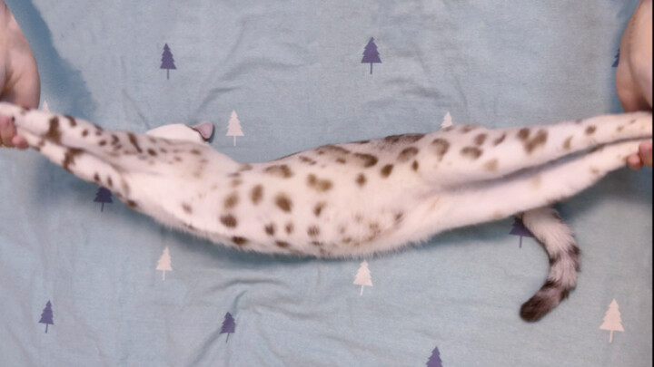 กรรมวิธีการทำราเมงลั่นโจวแบบดั้งเดิม