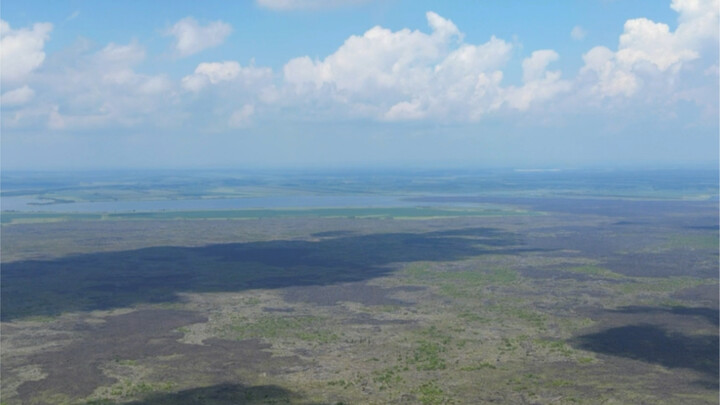 Immersive experience of the “fun” of jungling!