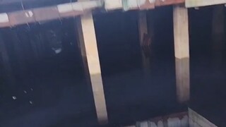 Homeless people should never sleep near the water. You're right to listen to me.