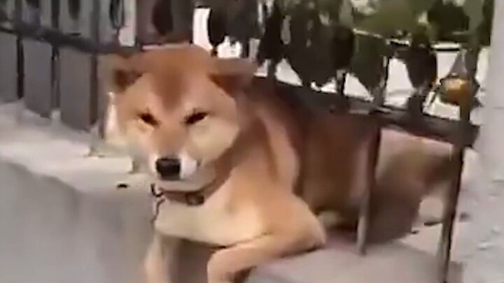 How come you always happen to be there for everything?