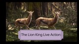 The Lion King (Movie)
