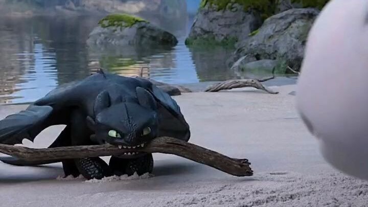 Lukisan Toothless hanya boleh diinjak oleh istrinya [How to Train Your Dragon]