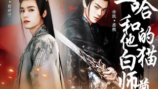 “众所周知，师尊是一个高危职业！”‖原著向前世篇 《二哈和他的白猫师尊》｜许凯x龚俊