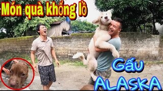 Sư Phụ Săn Bắt Ẩm Thực Vùng Cao Tặng Món Quà Khổng Lồ Gấu Chó ALASKA Cho Đại 87