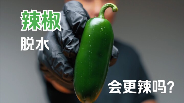 Does dehydrating chili peppers make them spicier? | “Do You Like It Wet?” series