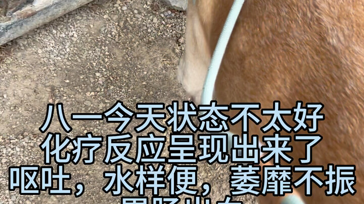 Bertahanlah, Sayang!