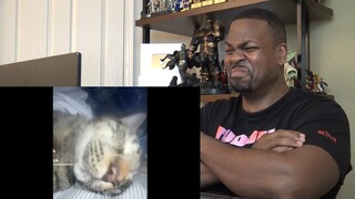 Try Not to Laugh - Offensive Memes That If You Laugh You Lose V178 - Reaction!