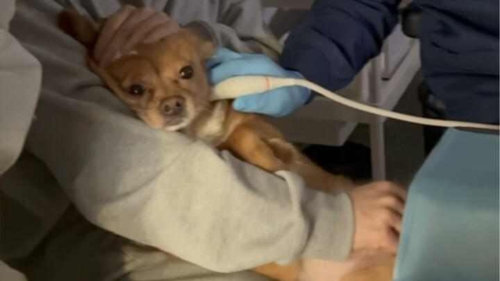 Kabar terkini Honey selama periode tidak ada pembaruan.