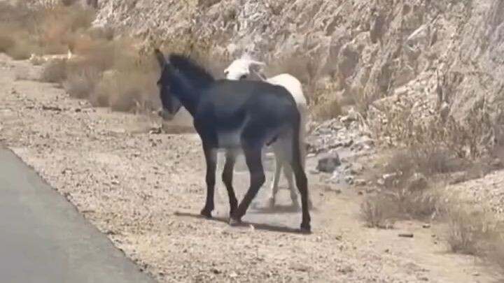 اگر ہم نے انتخابات کے بعد اس رازداری کو۔
