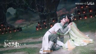 Fox Spirit Matchmaker: Red-Moon Pact【张凌赫×陈都灵 狐妖小红娘尾生篇】【月啼暇&胡尾生】“ 尾 生 抱 柱 ，至 死 方 休 ”