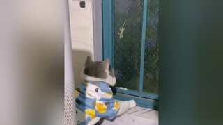 Mình mới làm một bé thằn lằn rồi á mn để tối mình thử xem sao chứ ảnh buồn hiu mấy ngày luôn.  cat mèo xuhuong xuhuongtiktok fypシ fyp