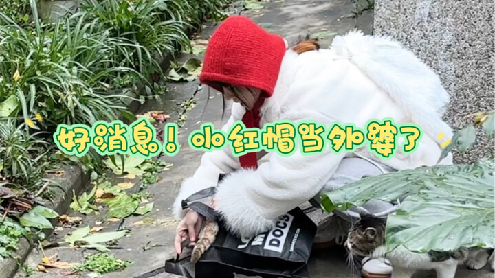 مررت من هنا؟ خذ حصة ولو صغيرة!