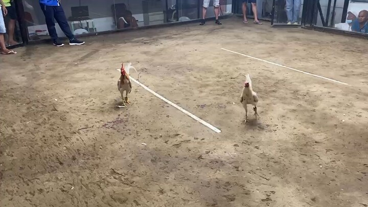 na unahan nokis natin mga ka alvars, sinamahan tayo ng malas hehehe Loss